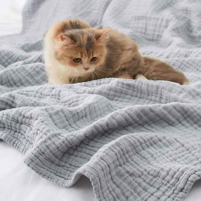 chaton sur couverture mousseline grise